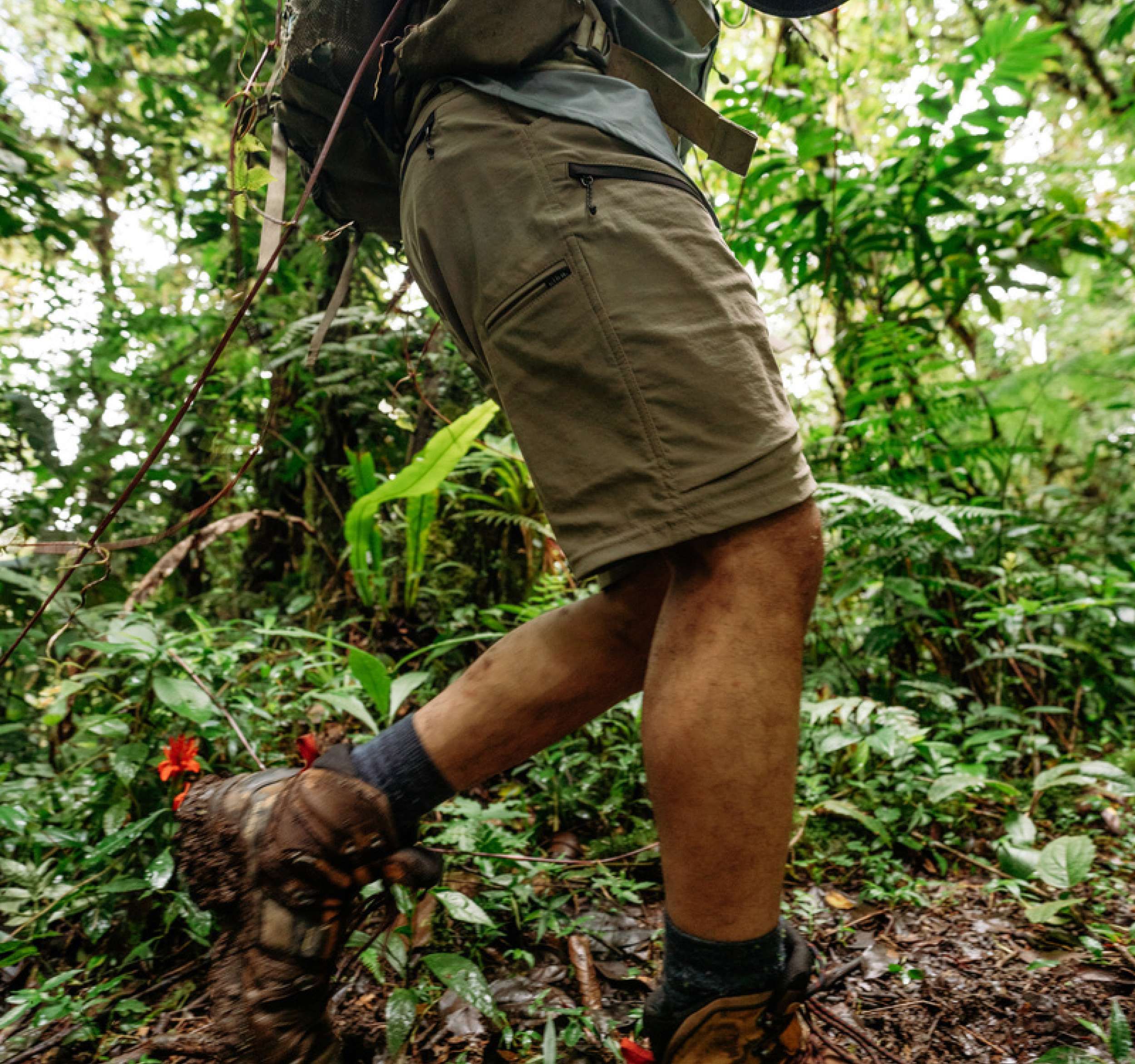 dry fit hiking shorts